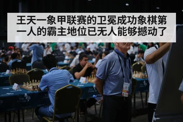 王天一象甲联赛的卫冕成功象棋第一人的霸主地位已无人能够撼动了