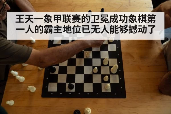 chess tournament