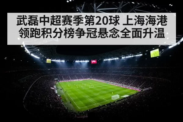 soccer stadium floodlights crowd